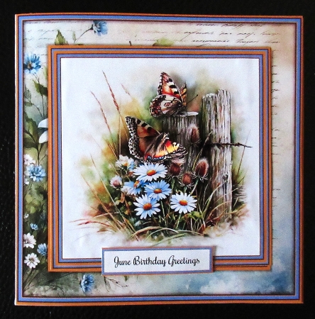 Butterflys on Flowers - Mini Kit 6x6 by Davina Rundle