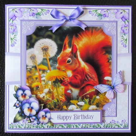 LITTLE SQUIRREL 6x6 & 5x7 by Davina Rundle