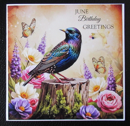 Garden Birds  by Davina Rundle