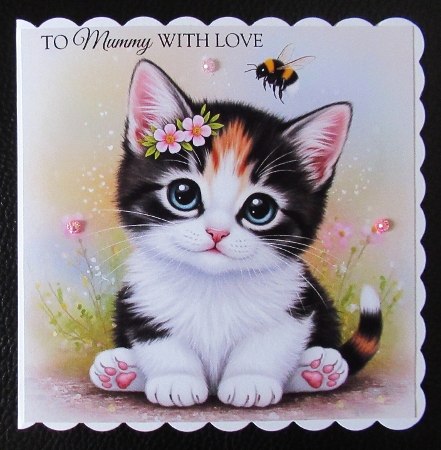 Sweet Kittens by Davina Rundle