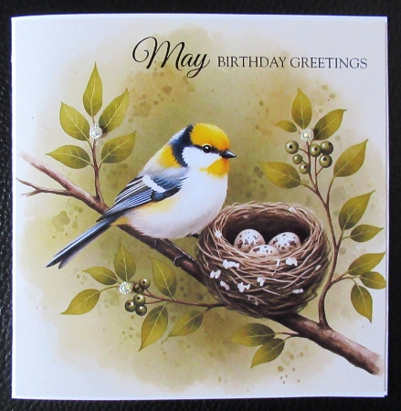 Nesting Birds  by Davina Rundle