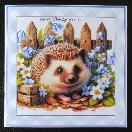 Gingham 2 x patterned 18 x 8x8ins Frames kit by Davina Rundle