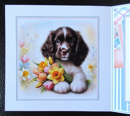 Saying It With Flowers 5 Mini Page Kit by Davina Rundle