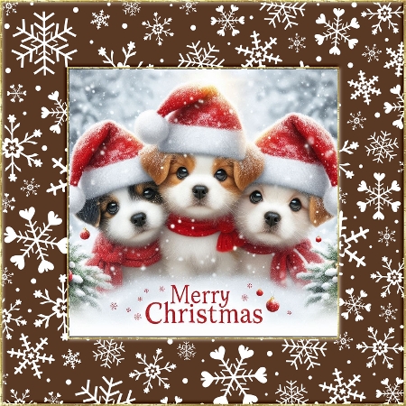 20+ dogs at christmas 2 by Davina Rundle