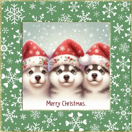 20+ dogs at christmas 2 by Davina Rundle