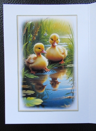 Two Little Ducklings Mini Page Kit by Davina Rundle