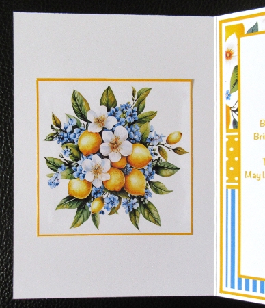 Lemon Blossoms Mini Kit 5x7 (3) by Davina Rundle