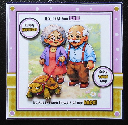 Walking Tortoise Mini Kit by Davina Rundle