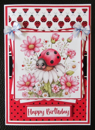 Ladybug In Bloom Mini Kit 5x7 (3) by Davina Rundle