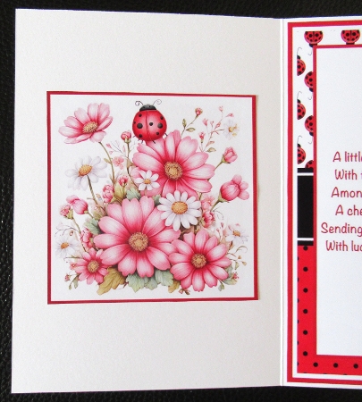 Ladybug In Bloom Mini Kit 5x7 (3) by Davina Rundle