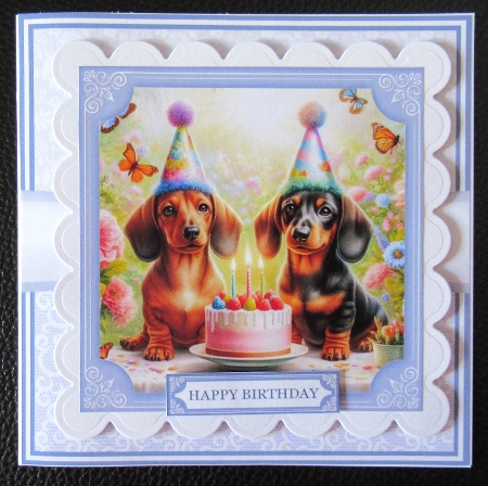 BIRTHDAY DACHSHUNDS 5x7 6x6 by Davina Rundle