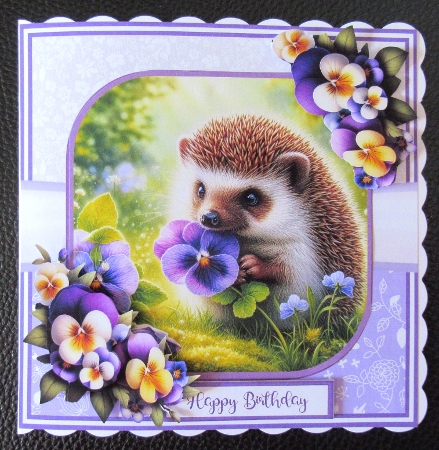 PANSY WILDLIFE 5x7 6x6 by Davina Rundle