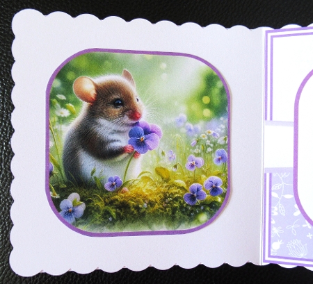 PANSY WILDLIFE 5x7 6x6 by Davina Rundle