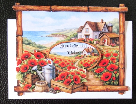 Poppy Field Countryside Gift Tags & Labels Printable Sheet by Davina Rundle