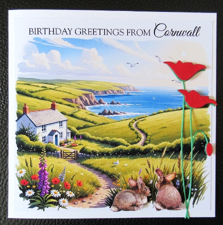 Cornish coast 1 by Davina Rundle