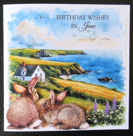 Cornish coast 2 by Davina Rundle