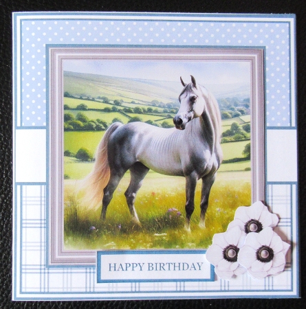 COUNTRYSIDE HORSES 5x7 6x6 request by Davina Rundle