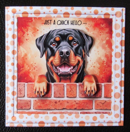 Just another dog on the wall 2 by Davina Rundle