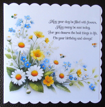 Spring wildflowers  by Davina Rundle