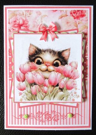 Spring Cats Mini Kit 5x7 (3) Plus Bonus by Davina Rundle