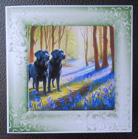 Easter Frames 11 by Davina Rundle