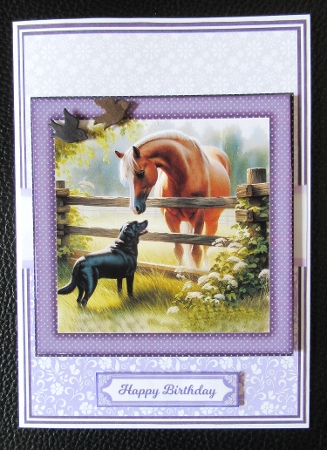 HORSES BEST FRIEND 5x7 6x6 by Davina Rundle