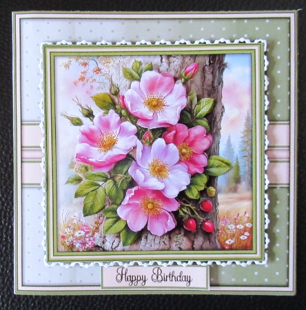 Wild Roses - Mini Kit 6x6 by Davina Rundle