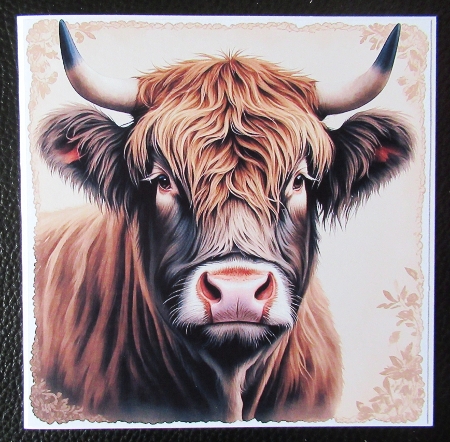 Cows  by Davina Rundle
