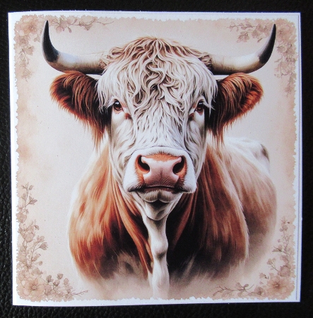 Cows  by Davina Rundle