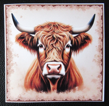 Cows  by Davina Rundle