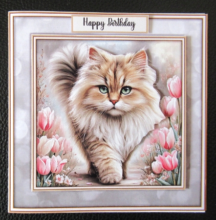 Flower Cat - Mini Kit 6x6 by Davina Rundle