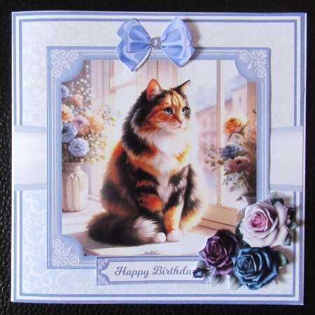 TORTOISESHELL CATS 5x7 6x6 by Davina Rundle