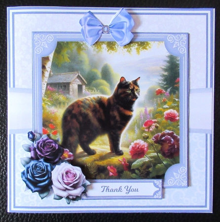 TORTOISESHELL CATS 5x7 6x6 by Davina Rundle
