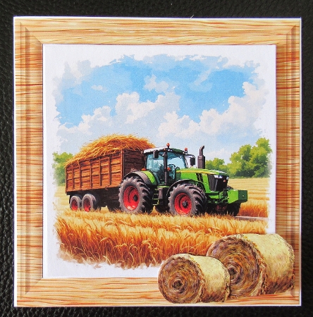 Tractors  by Davina Rundle