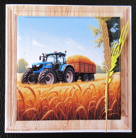 Tractors  by Davina Rundle