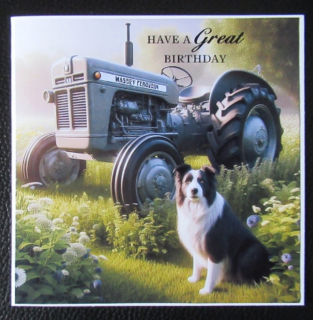 20+ tractors by Davina Rundle