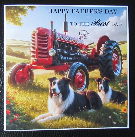 20+ tractors by Davina Rundle