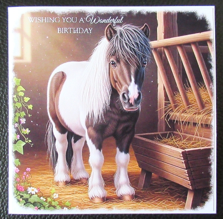 Pony 1 by Davina Rundle