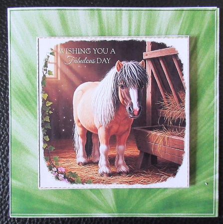 Pony 1 by Davina Rundle