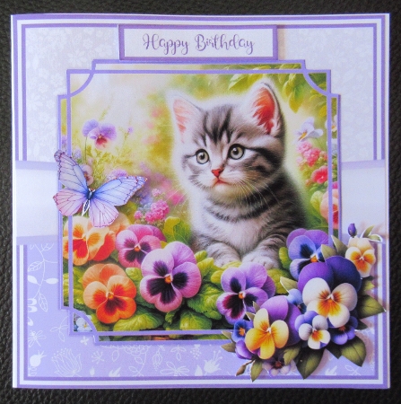 PANSY KITTENS 5x7 6x6 by Davina Rundle