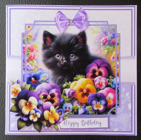 PANSY KITTENS 5x7 6x6 by Davina Rundle