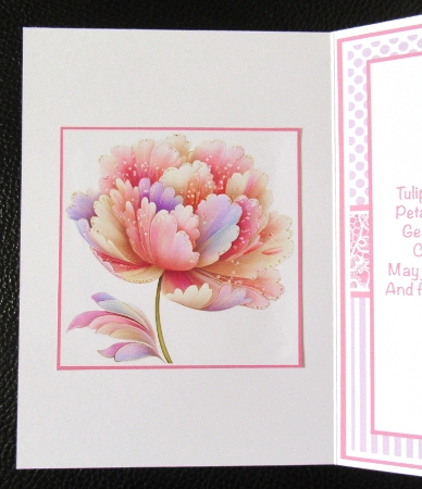 Summer Tulips Mini Kit 5x7 (3) Plus Bonus by Davina Rundle