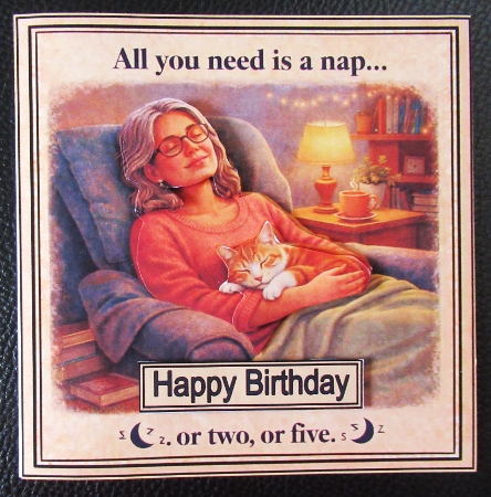 All You Need Is A Nap Mini Kit by Davina Rundle
