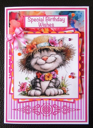 Summer Cats Mini Kit 5x7 (3) Plus Bonus by Davina Rundle