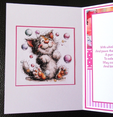 Summer Cats Mini Kit 5x7 (3) Plus Bonus by Davina Rundle