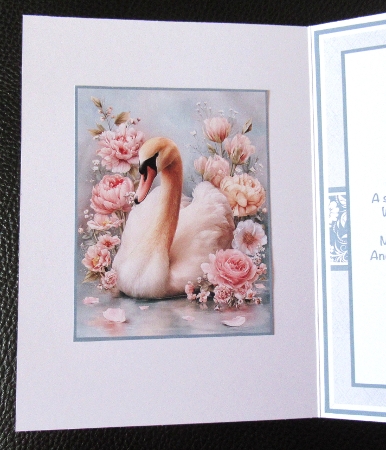 Petals In Bloom #1 Mini Kit 5x7 (3) Plus Bonus by Davina Rundle