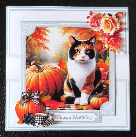 5x7 6x6 AUTUMN CALICOS by Davina Rundle