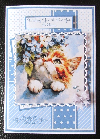 Cute Kitty Mini kit 5x7 (3) Plus Bonus by Davina Rundle
