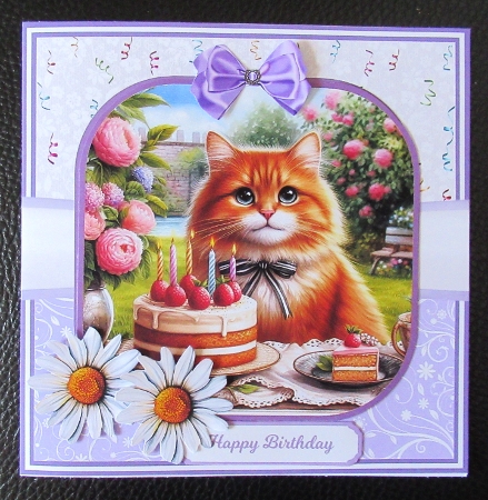 GINGER BIRTHDAY 5x7 6x6 by Davina Rundle
