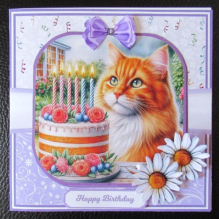 GINGER BIRTHDAY 5x7 6x6 by Davina Rundle